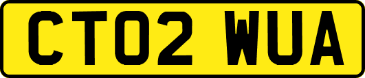 CT02WUA