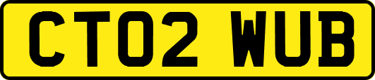 CT02WUB