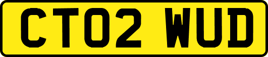 CT02WUD