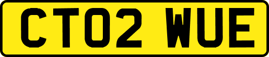CT02WUE
