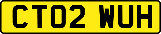 CT02WUH