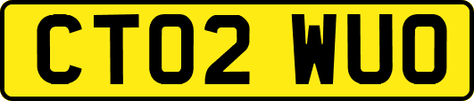 CT02WUO