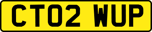 CT02WUP