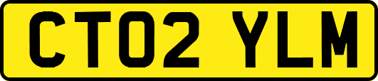 CT02YLM