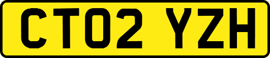CT02YZH