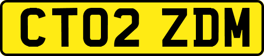 CT02ZDM
