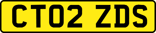 CT02ZDS