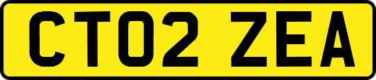 CT02ZEA