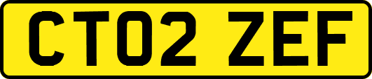 CT02ZEF