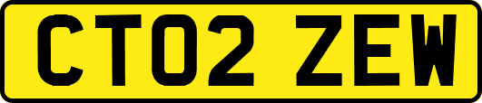 CT02ZEW