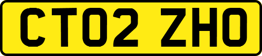 CT02ZHO