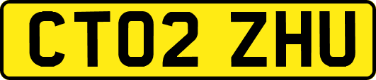 CT02ZHU