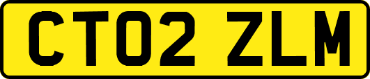 CT02ZLM