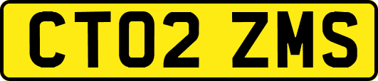 CT02ZMS