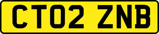 CT02ZNB