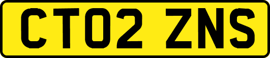 CT02ZNS
