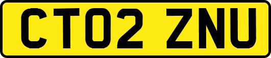 CT02ZNU