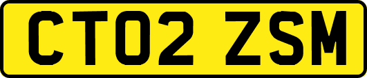 CT02ZSM