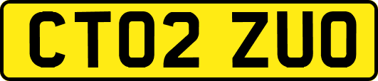 CT02ZUO