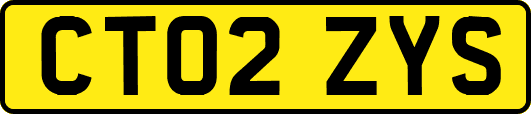 CT02ZYS