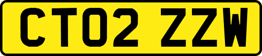CT02ZZW
