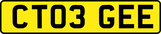 CT03GEE