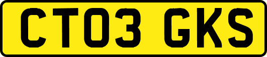 CT03GKS