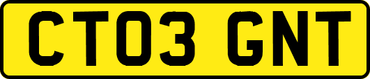 CT03GNT