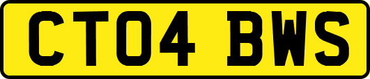 CT04BWS