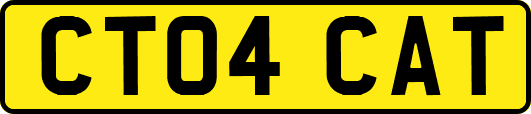 CT04CAT