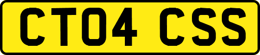 CT04CSS