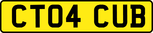 CT04CUB