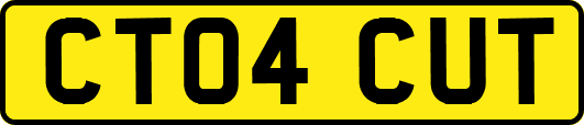 CT04CUT