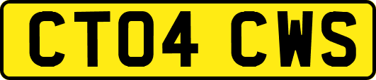 CT04CWS