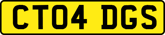 CT04DGS