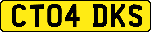CT04DKS