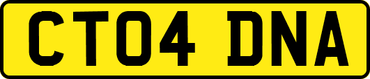 CT04DNA
