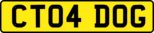 CT04DOG