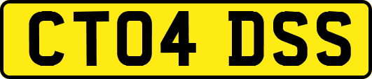 CT04DSS