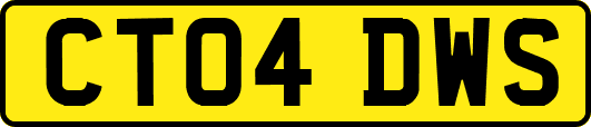 CT04DWS