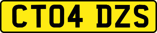 CT04DZS