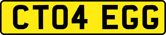 CT04EGG
