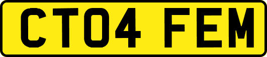 CT04FEM
