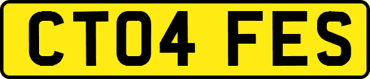 CT04FES