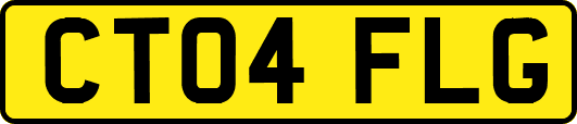 CT04FLG