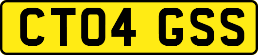 CT04GSS