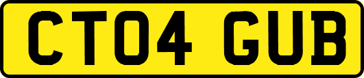 CT04GUB