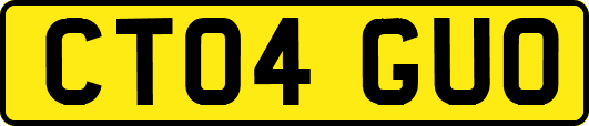 CT04GUO