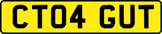 CT04GUT