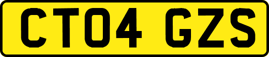 CT04GZS